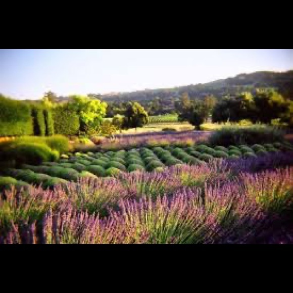 WELCOME..COME ON IN! - Picture 5 of 6